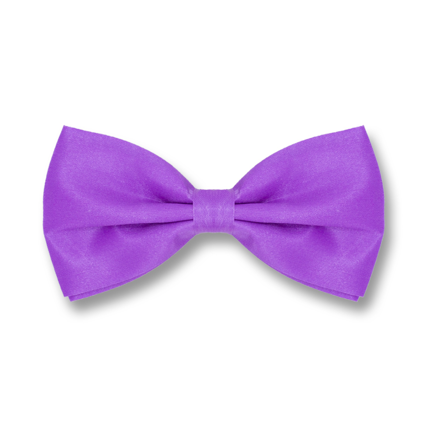 Jasmine Purple Polyester Solid Skinny Bow Tie