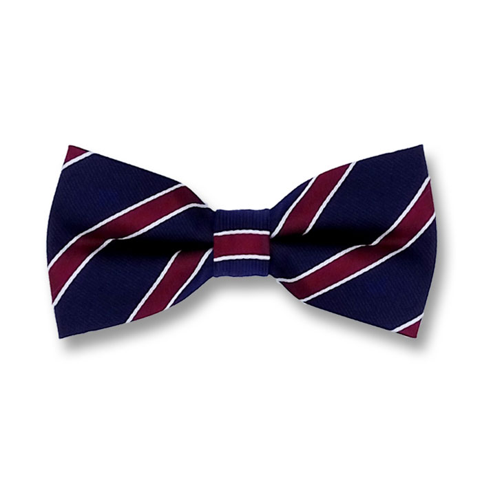 Midnight Blue and Burgundy Polyester Striped Butterfly Bow Tie