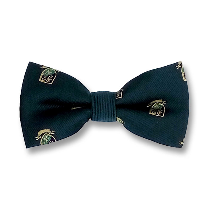 Dark Forest Green Polyester Novelty Butterfly Bow Tie