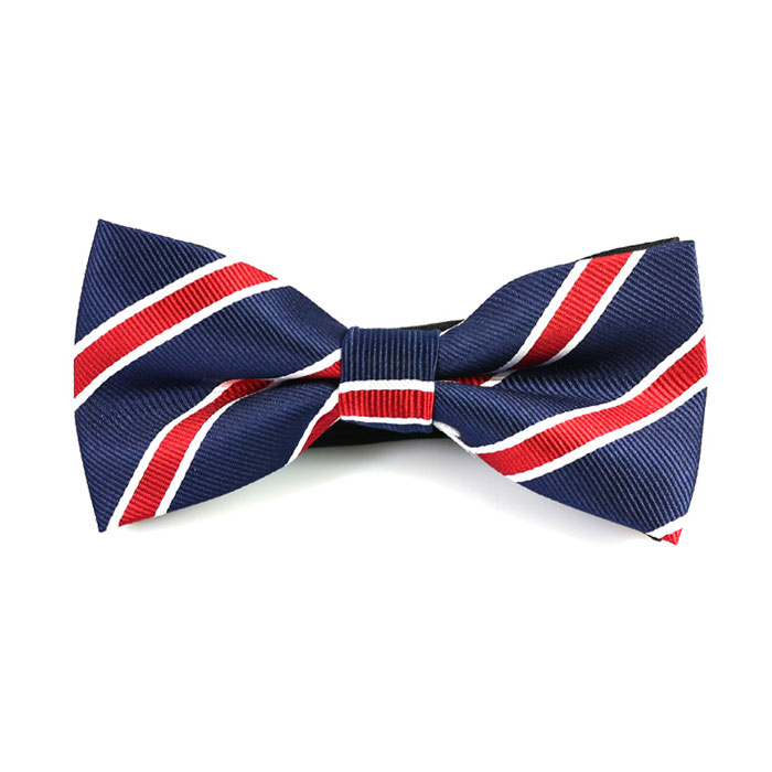 Purple Iris, SeaShell and Valentine Red Polyester Striped Butterfly Bow Tie